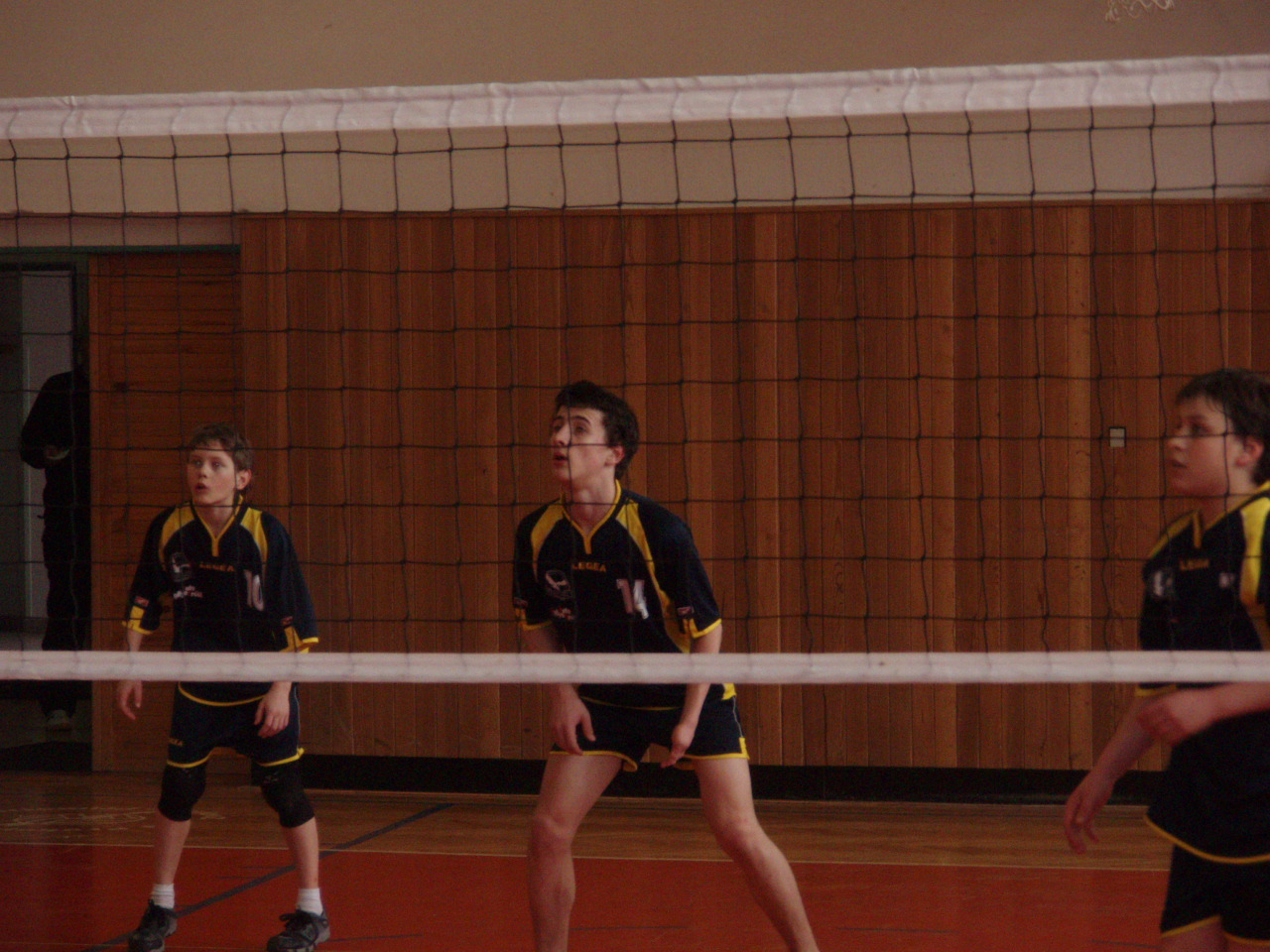 P3150106.JPG